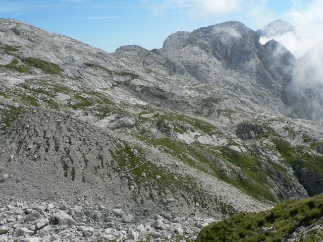 Gamsov skret - skuta- grintavec  -avgust - foto