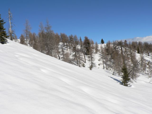 Vrtaški vrh     15.1.2011 - foto