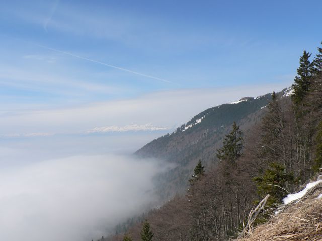 Tolsti vrh- kriška gora       27.2.2011 - foto