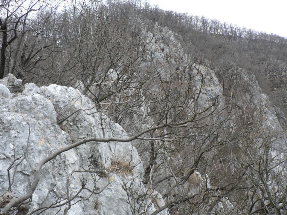 Nad vrajevo pečjo   13.3.2011 - foto povečava