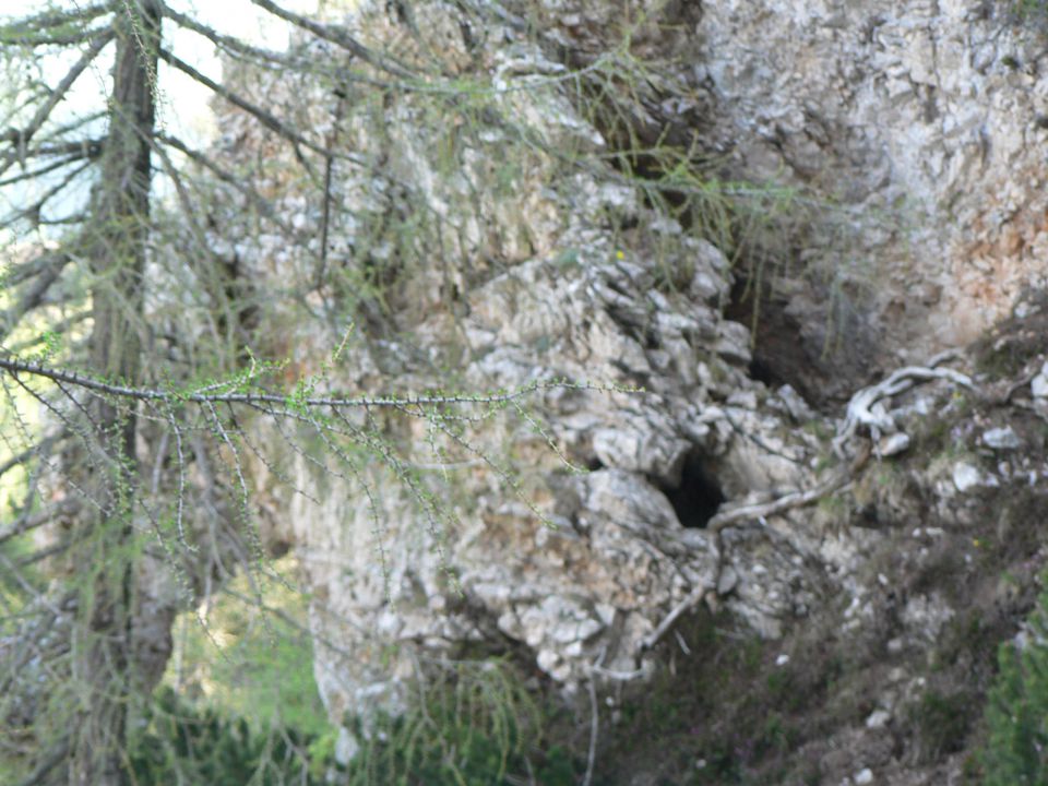 Matkova kopa-Jerebičje-P. stene - foto povečava
