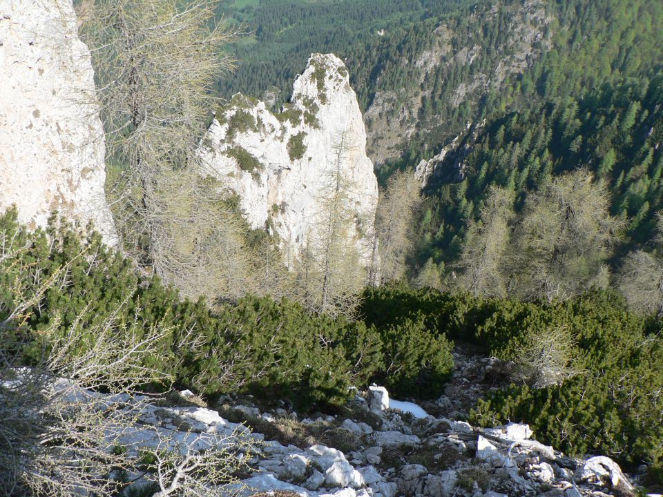 Matkova kopa-Jerebičje-P. stene - foto povečava