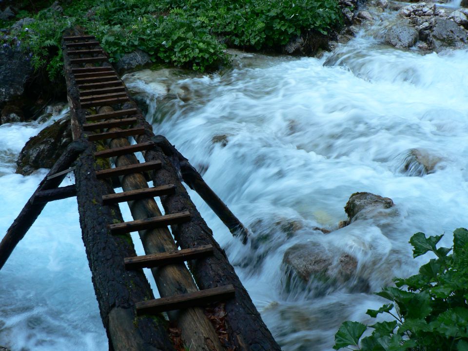 Peričnik-sleme-šimencov rovt    29.5.2011 - foto povečava