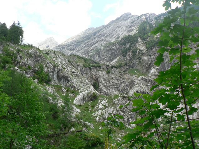 Gamsov skret - Kogel  ( 5.6.2011 ) - foto