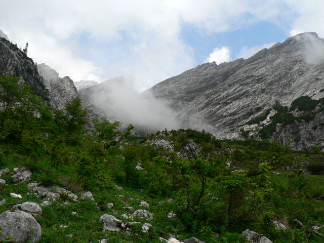 Gamsov skret - Kogel  ( 5.6.2011 ) - foto