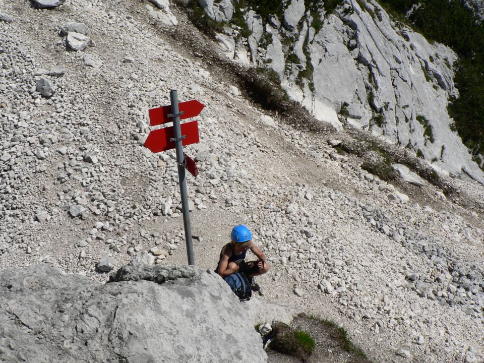 Krma-lipanca-tošč-verner-krma  22.6.2011 - foto povečava