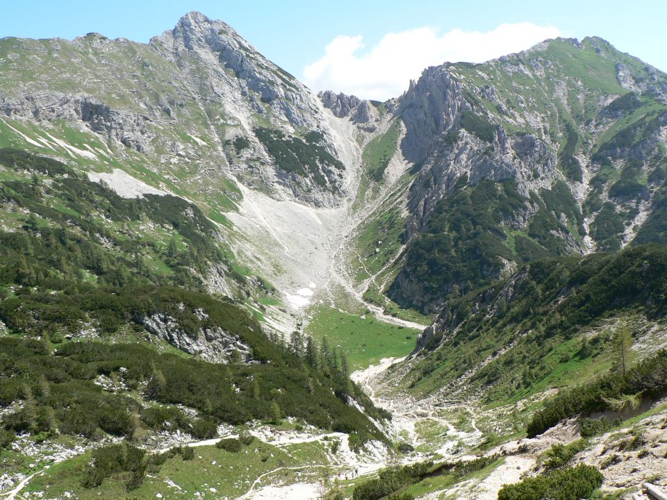 Krma-lipanca-tošč-verner-krma  22.6.2011 - foto povečava