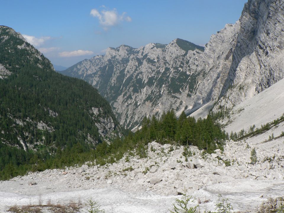 Krma-lipanca-tošč-verner-krma  22.6.2011 - foto povečava