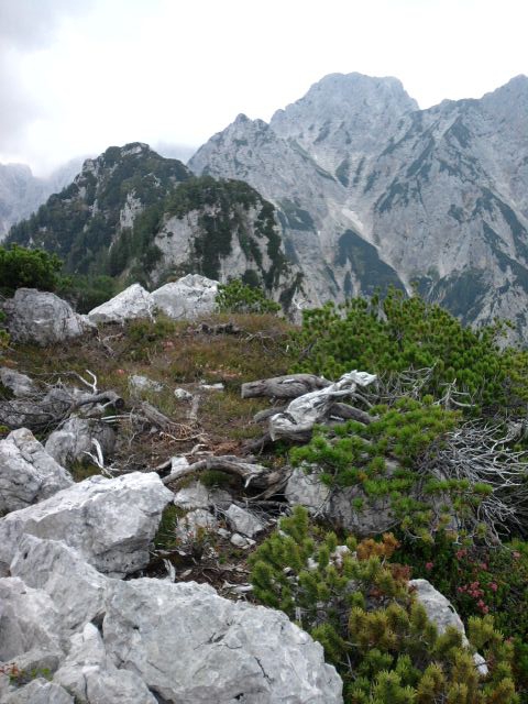 M.kot-m.gora-savinjek-m.kot  17.7.2011 - foto povečava