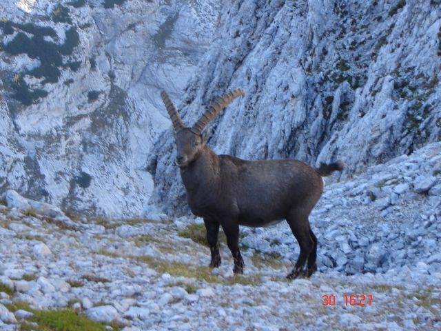 Mišel vrh 30.9.2011 - foto