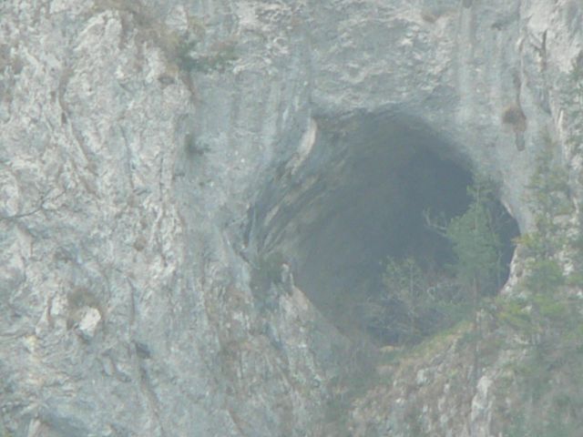 Hribarska zijalka-Olševa (29.4.12) - foto