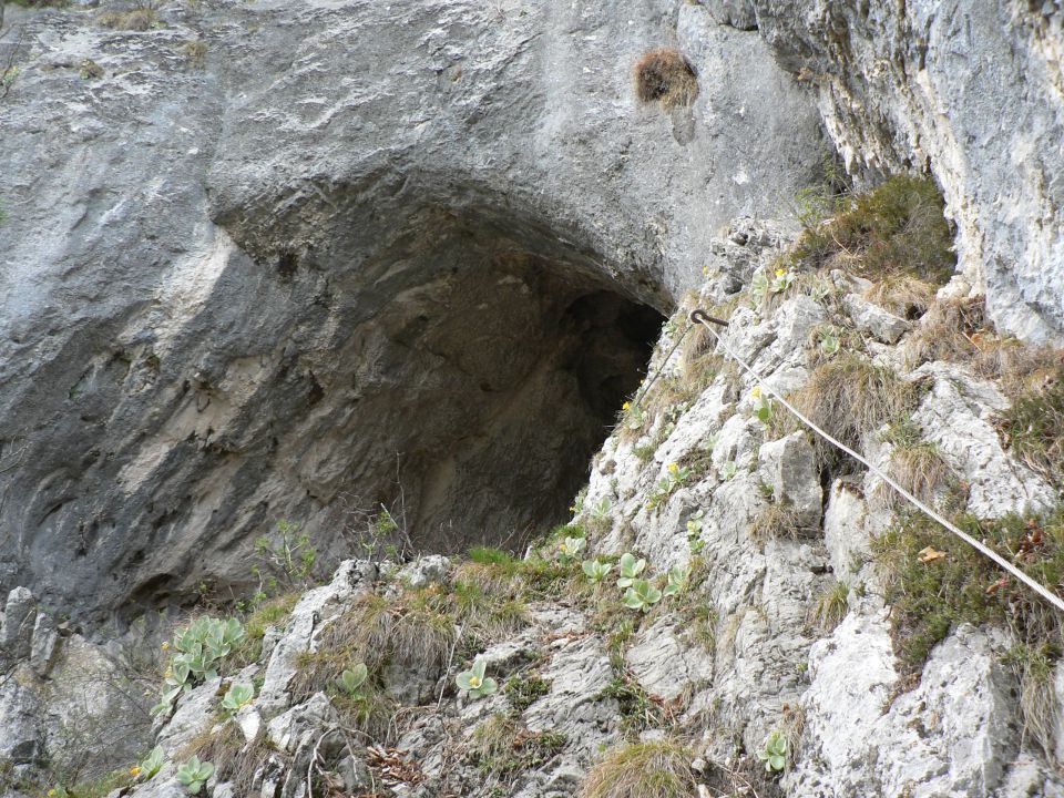 Hribarska zijalka-Olševa (29.4.12) - foto povečava