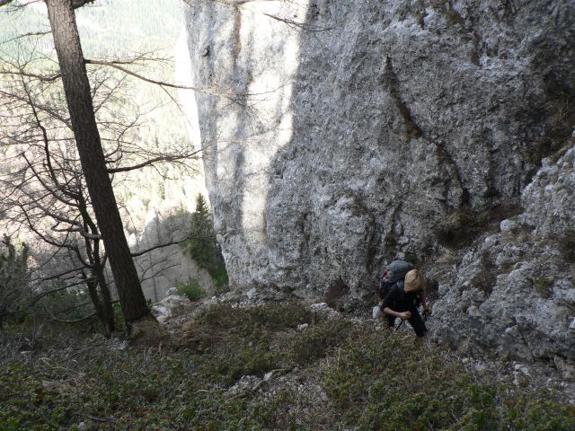 Hribarska zijalka-Olševa (29.4.12) - foto