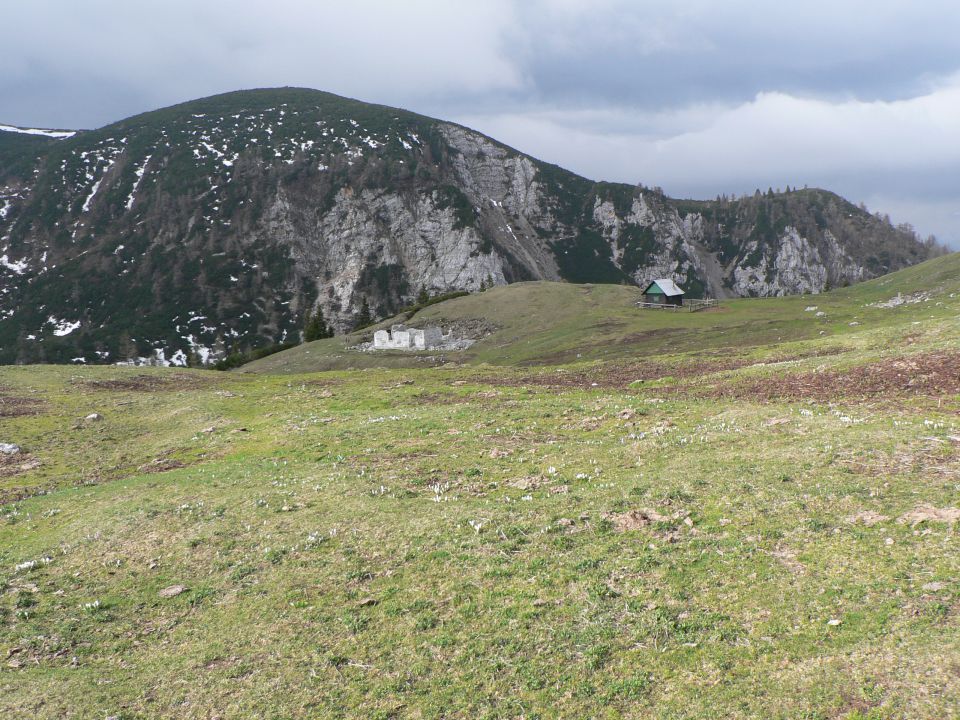 V.vrh - Golica ( 5.5.12 ) - foto povečava