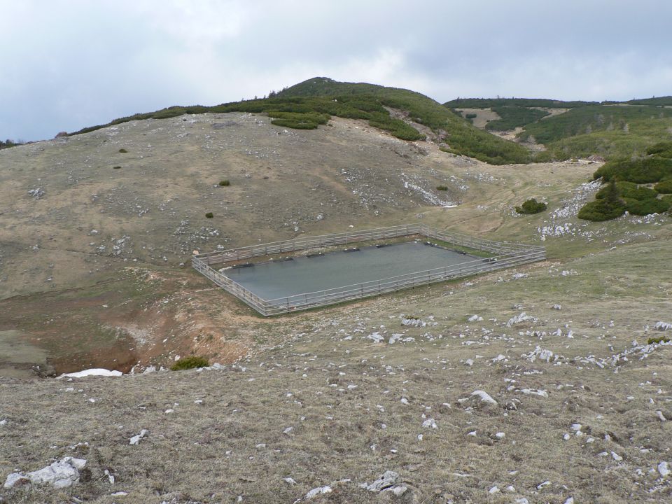 V.vrh - Golica ( 5.5.12 ) - foto povečava