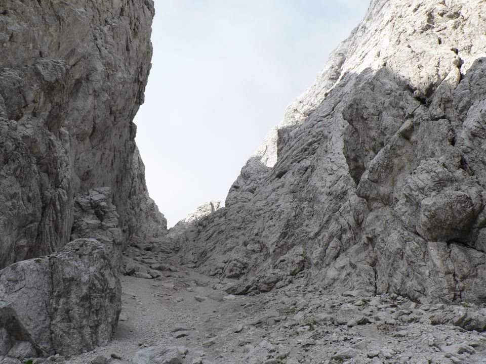 T.gora-brana-planjava-grlo 8.8.2012 - foto povečava