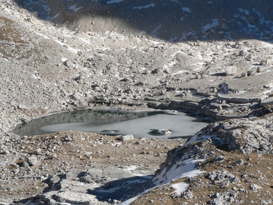 17-18.11 kanjavec, pršivec - foto povečava