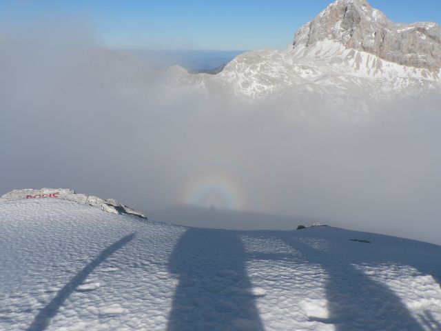 17-18.11 kanjavec, pršivec - foto