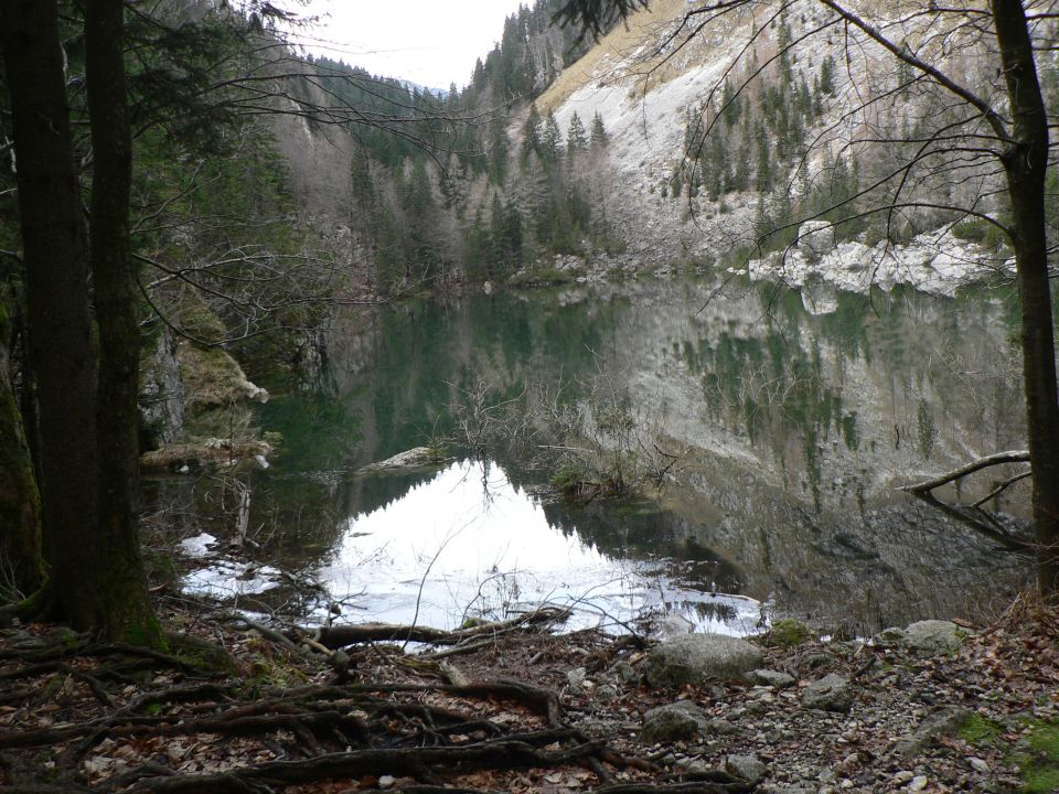 17-18.11 kanjavec, pršivec - foto povečava