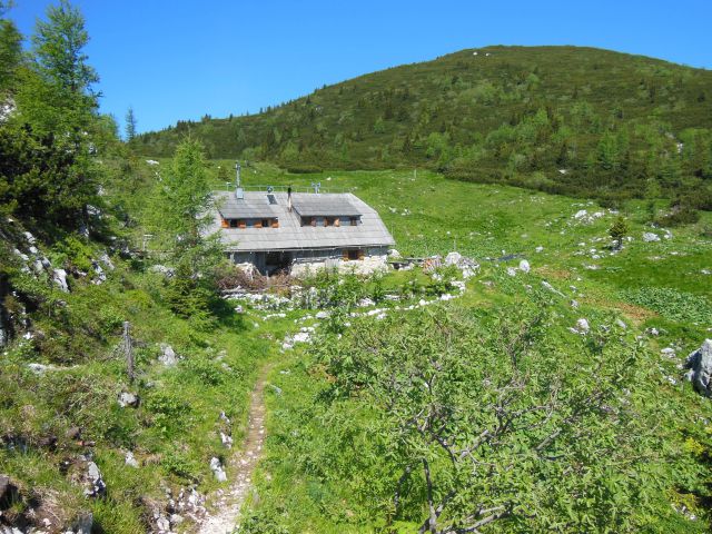 Kopa-konj-vodotočnik-orglice 17.6.2013 - foto