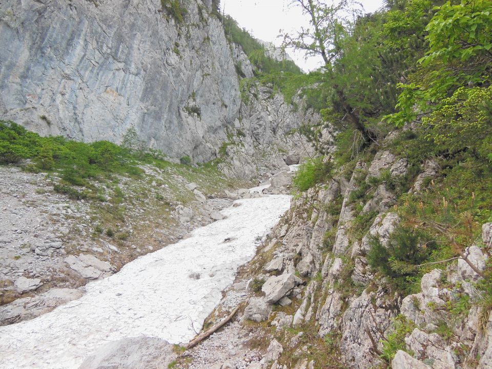 Storžič-šmarna gora 3.7.2013 - foto povečava