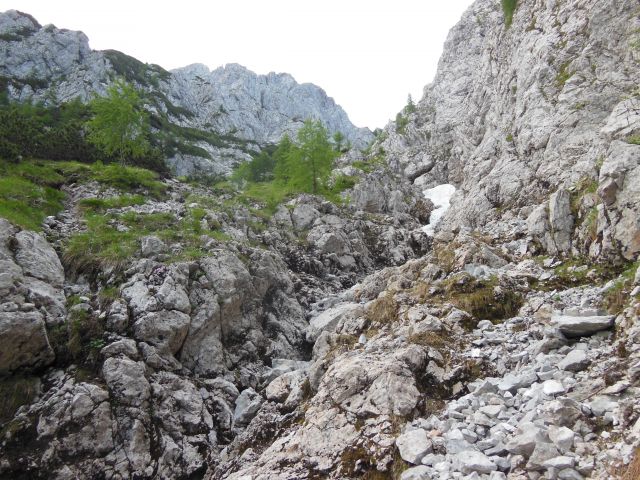 Storžič-šmarna gora 3.7.2013 - foto