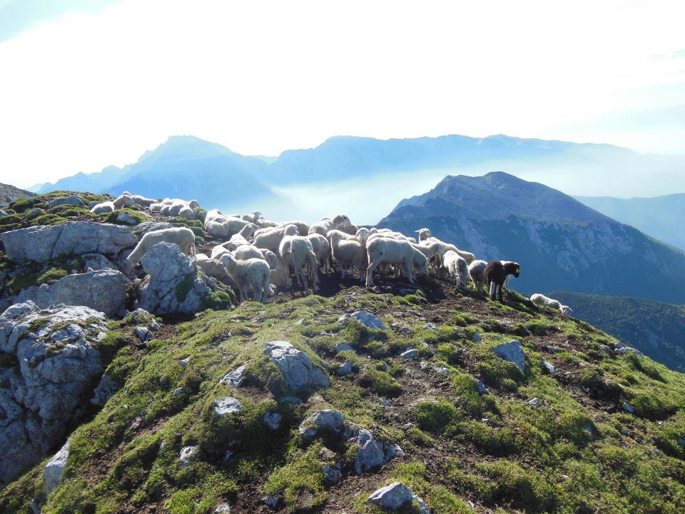 Storžič-šmarna gora 3.7.2013 - foto povečava