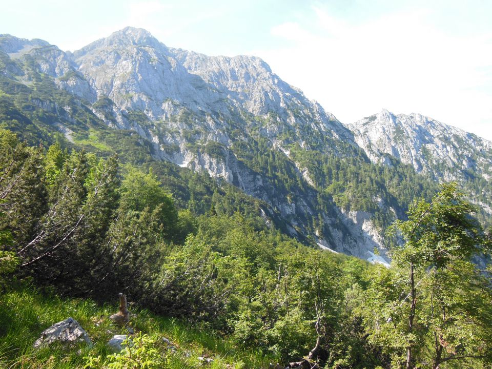 Storžič-šmarna gora 3.7.2013 - foto povečava