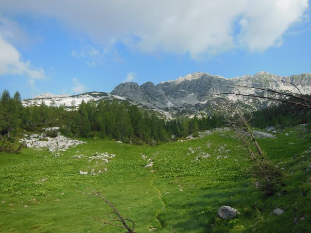 Plaski vogel 14.7.2013 - foto