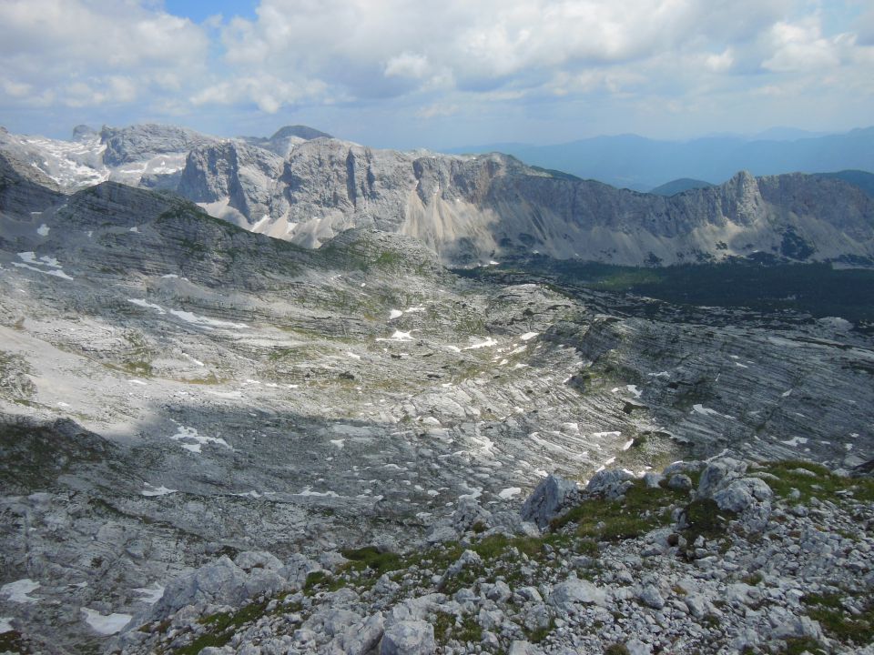 Plaski vogel 14.7.2013 - foto povečava