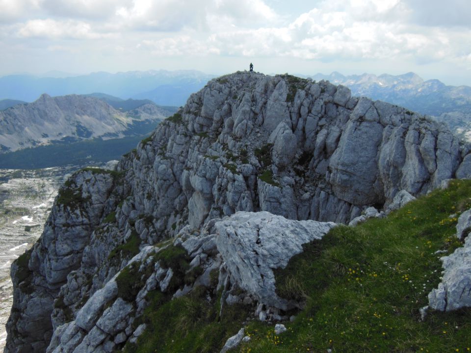 Plaski vogel 14.7.2013 - foto povečava