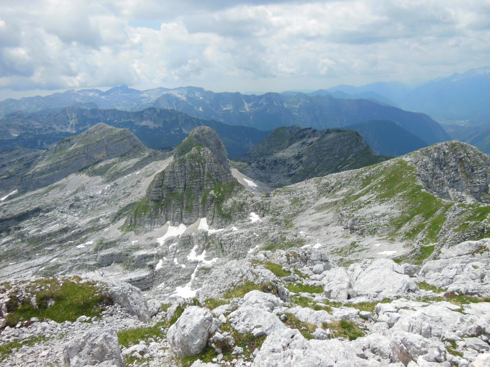 Plaski vogel 14.7.2013 - foto povečava