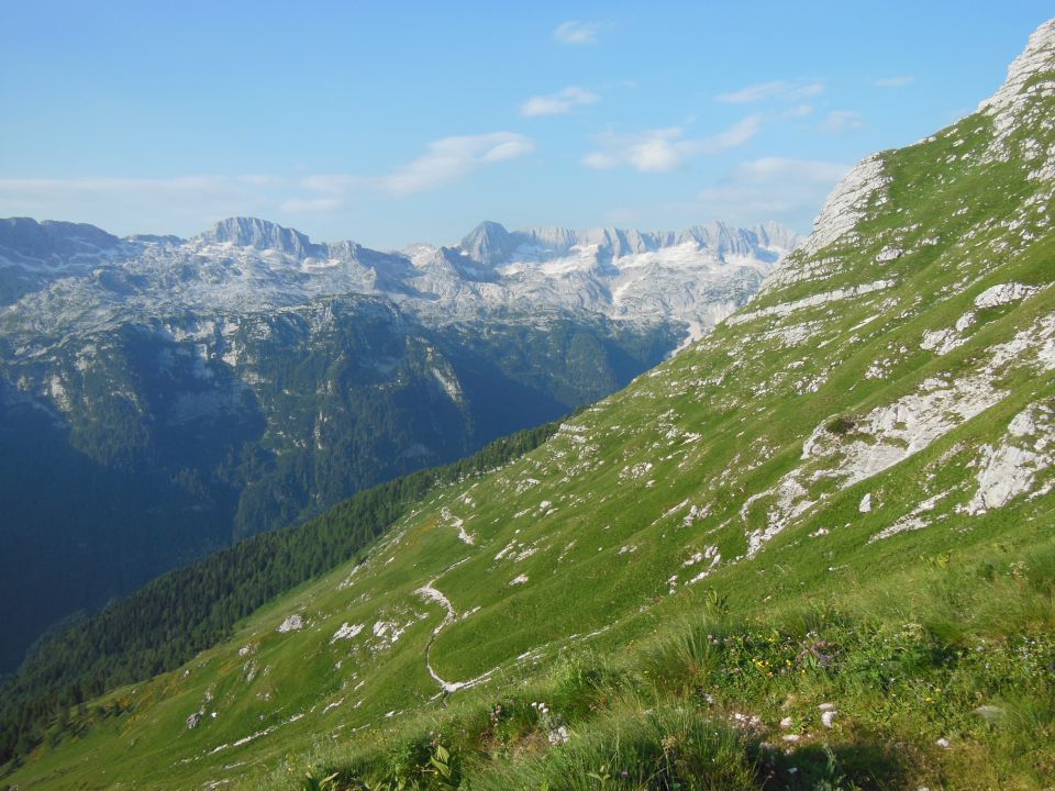 špiki nad pl. picol 20.7.2013 - foto povečava