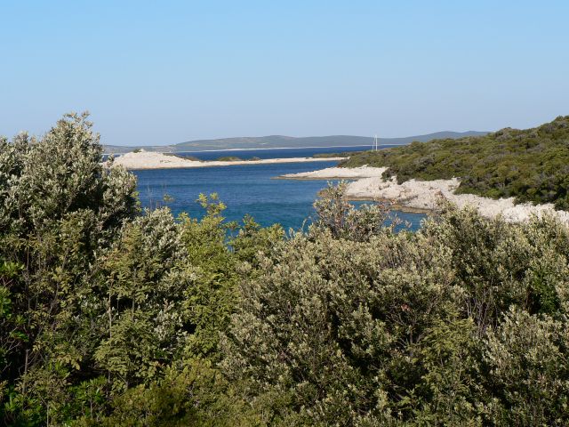 Lošinj- avgust 2013 - foto