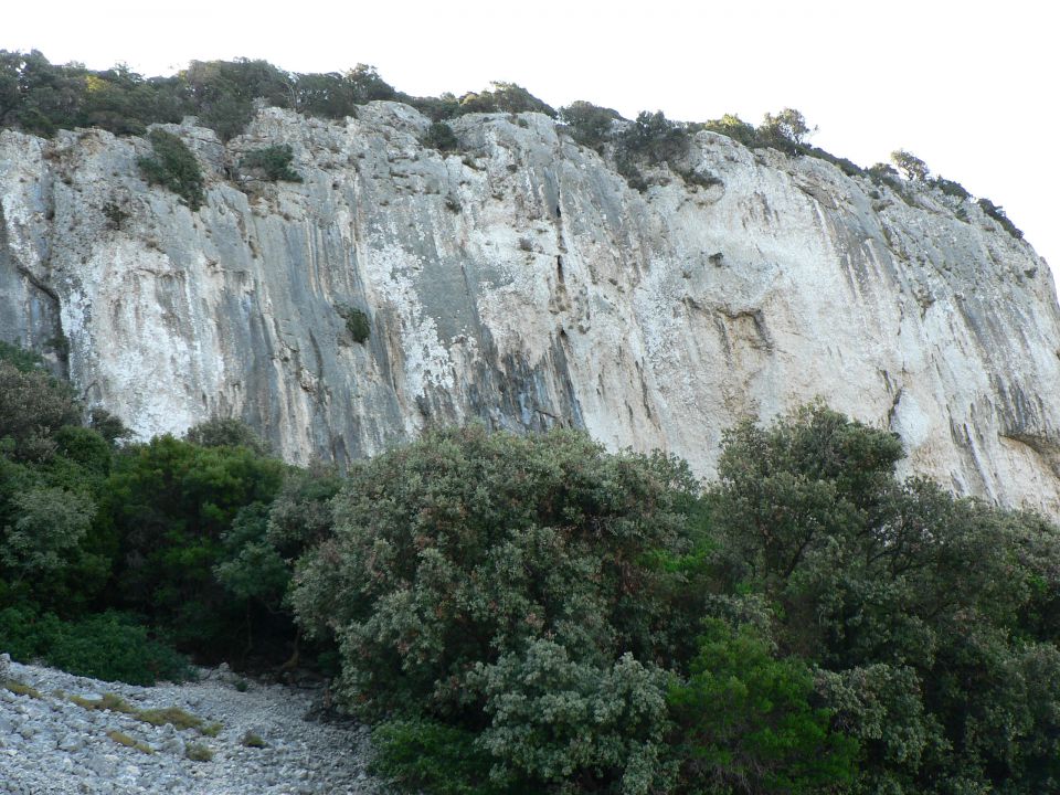 Lošinj- avgust 2013 - foto povečava