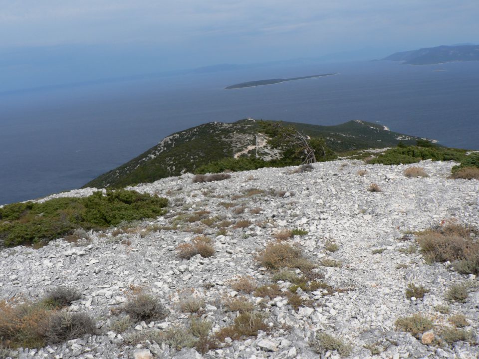 Lošinj- avgust 2013 - foto povečava