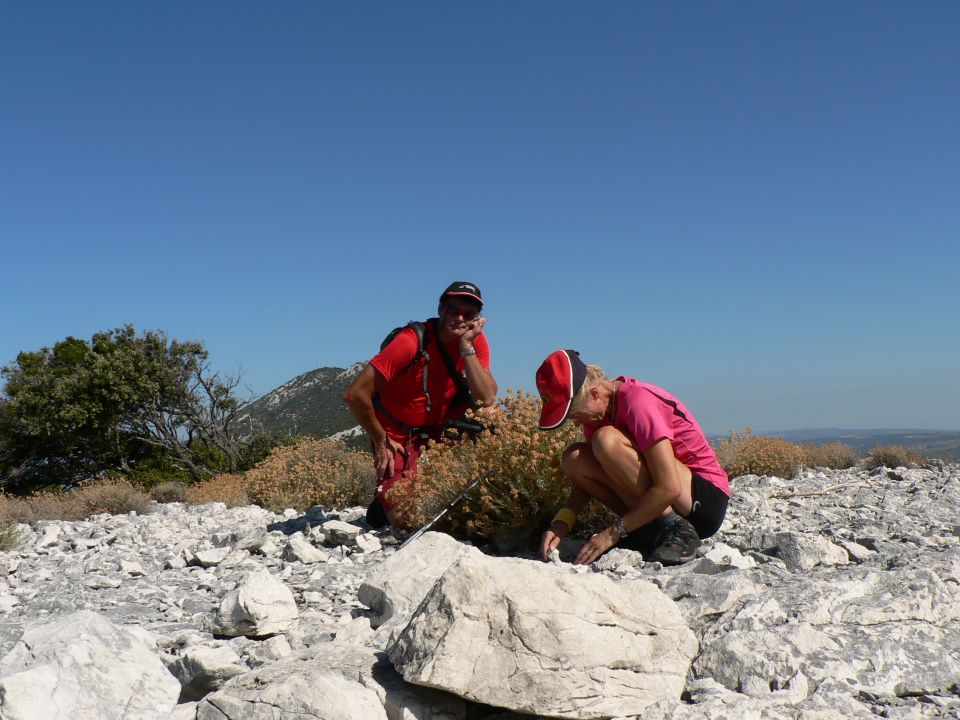 Lošinj- avgust 2013 - foto povečava