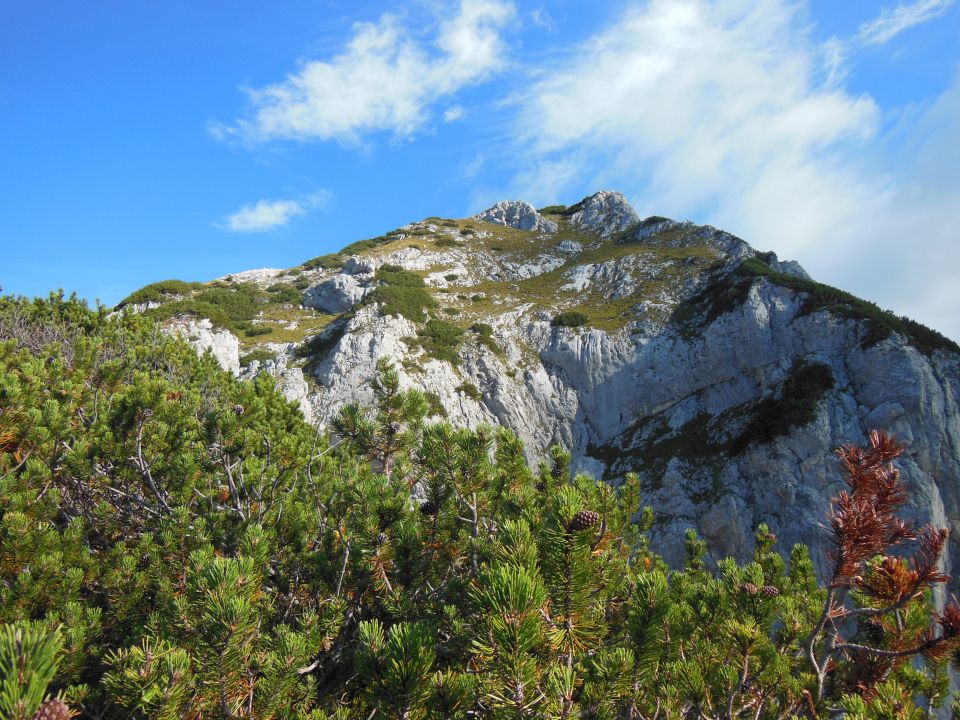 Goličica-bavški grintavec 31.8.2013 - foto povečava