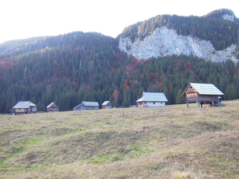 Stogi - Škednjovec (19.10.13) - foto povečava