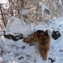 Basališče ( 1.1.14)
