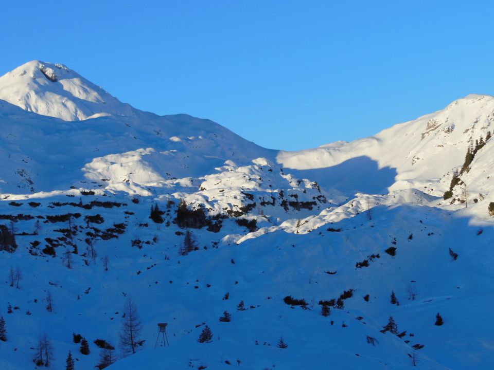 Lanževica (12.1.14) - foto povečava