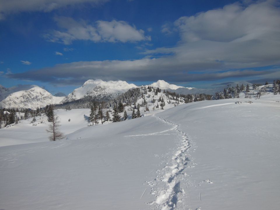 Volovjek-V.Planina-Rzenik-Konj (23.2.14) - foto povečava