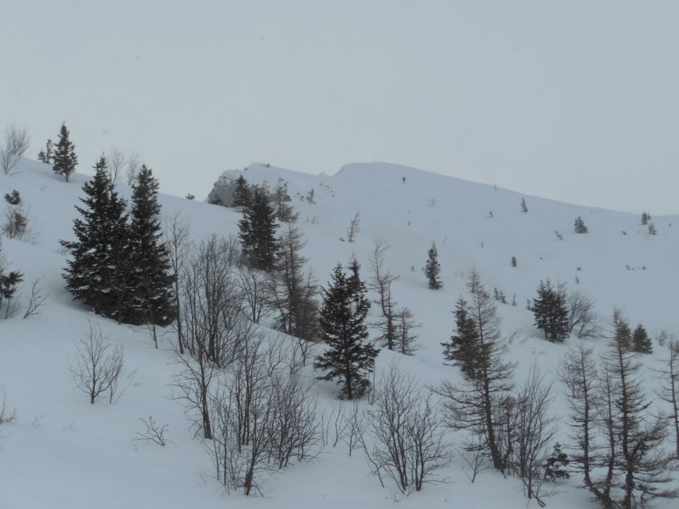 Volovjek-V.Planina-Rzenik-Konj (23.2.14) - foto povečava