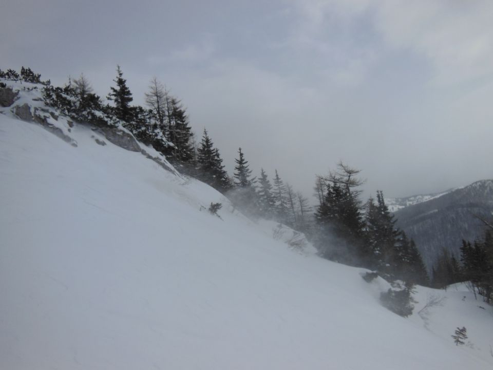 Volovjek-V.Planina-Rzenik-Konj (23.2.14) - foto povečava