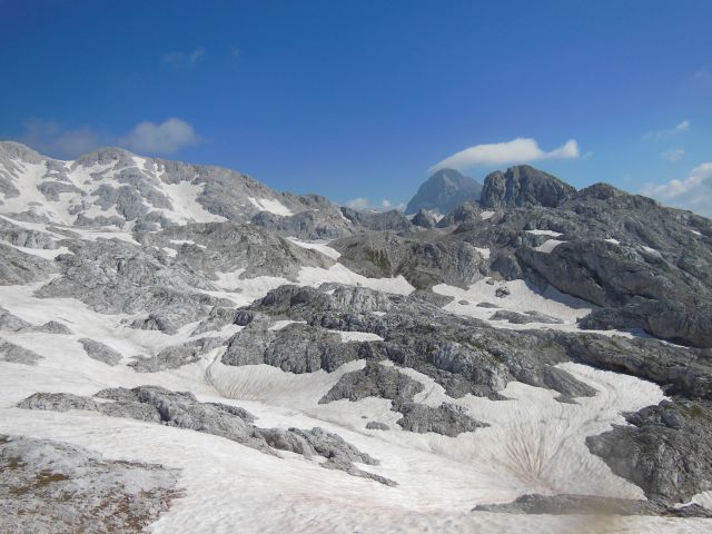 Vršaki - Vogli (19.7.14) - foto