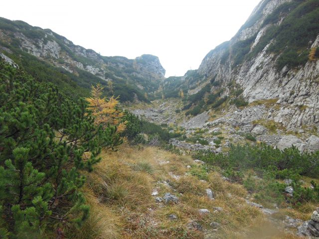 K.Greben-K.gora(lovska pot)- 11.10.14 - foto