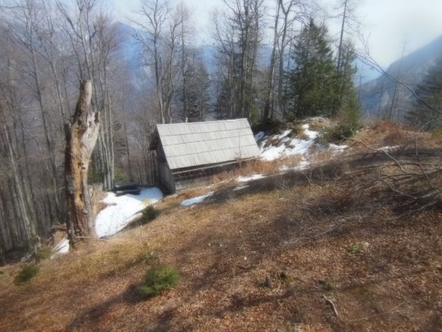 Grintovec- kalška gora   11.4.2015 - foto