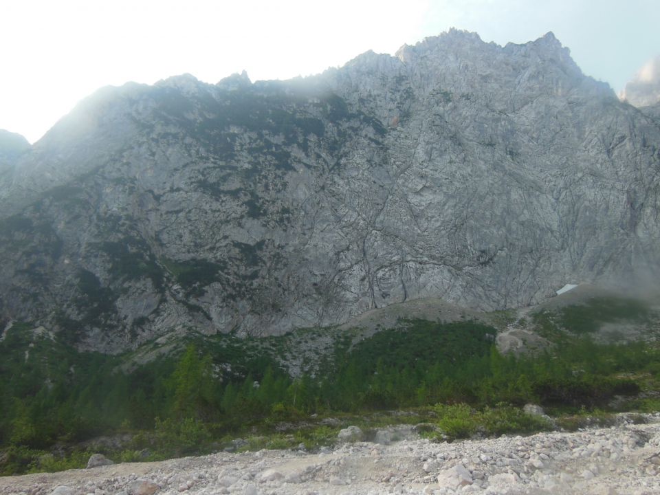 Martuljška mala ponca  4.7.2015 - foto povečava