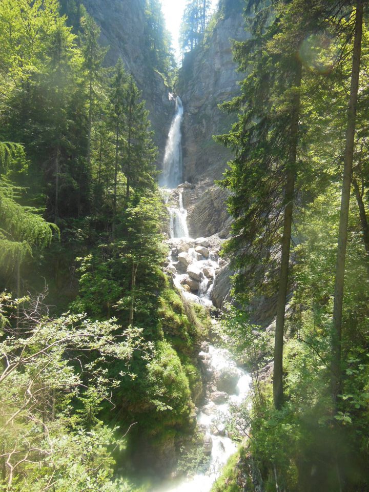 Martuljška mala ponca  4.7.2015 - foto povečava