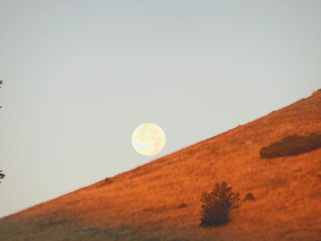 Velebit,   avgust - foto